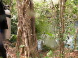 Debris in Cenote Angelita